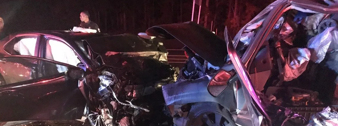 Victims identified in drunk driver wrong-way crash that killed 3 on I-75 in Macon